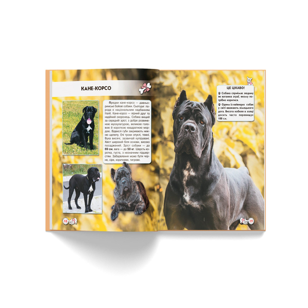 Фотоенциклопедія. Світ навколо нас. Собаки (F00021089) - Pampik - 7