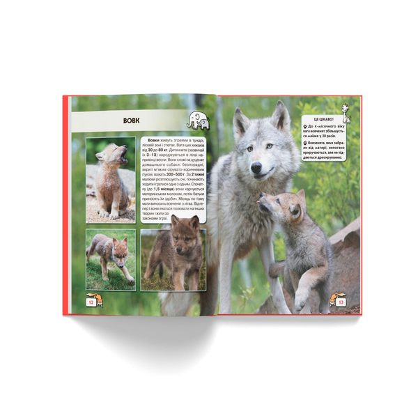 Фотоенциклопедія. Світ навколо нас. Малята тварин (F00020867) - Pampik - 6