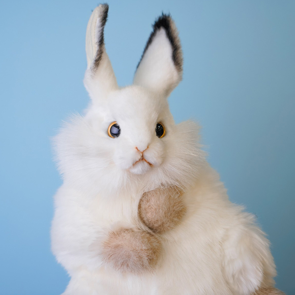 М'яка іграшка на руку Hansa Puppet Білий кролик, 34 см (7156) - Pampik - 4