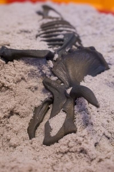 Набір Waba Fun Розкопки динозавра Dino T-Ric (150-112) - Pampik - 3