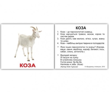 Карточки Домана Вундеркинд с пеленок Домашние животные, с фактами, 20 шт., укр. язык (2100064091544) - Pampik - 6