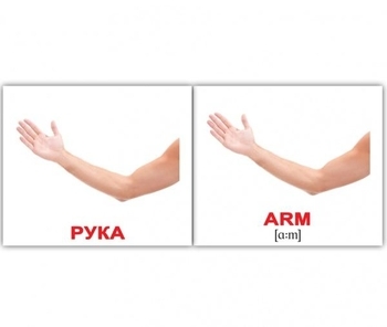 Мини-карточки Домана Вундеркинд с пеленок Человек/Human, укр.-англ. язык, 40 шт. (2100064094170) - Pampik - 2