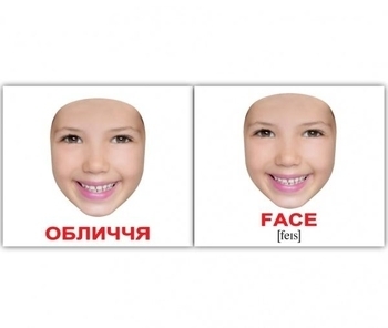 Мини-карточки Домана Вундеркинд с пеленок Человек/Human, укр.-англ. язык, 40 шт. (2100064094170) - Pampik - 3