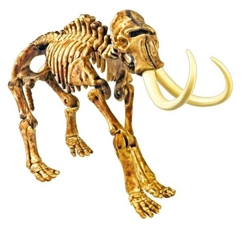 Набір Easy Science для розкопок Секрети мамонта - Pampik - 5