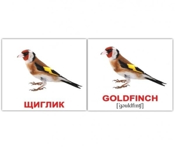 Картки Домана Вундеркінд з пелюшок Птахи/Birds, 8х10 см, 40 шт., укр., англ. (2100064455315) - Pampik - 3