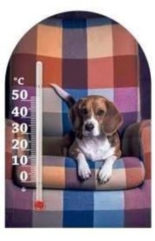 Термометр Склоприлад Сувенір Зоо світ Бігль 1 (300250) - Pampik