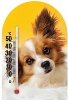 Термометр Склоприлад Сувенір Зоо світ Чихуахуа (300250) - Pampik