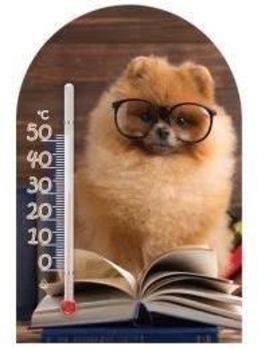 Термометр Склоприлад Сувенір Зоо світ Шпіц (300250) - Pampik