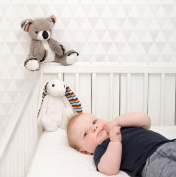 Мягкая игрушка для новорожденного Zazu Coco-koko Коала, 19 см (ZA-СОСО-01) - Pampik - 4