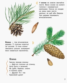 Енциклопедія дошкільніка. Ліс - Каспарова Ю.В. - Pampik - 7