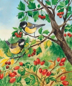 Енциклопедія дошкільніка. Ліс - Каспарова Ю.В. - Pampik - 3