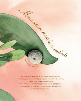 Арт-енциклопедія для дітей. Метелик неквапливий - Астон Гуттс Діанна - Pampik - 4