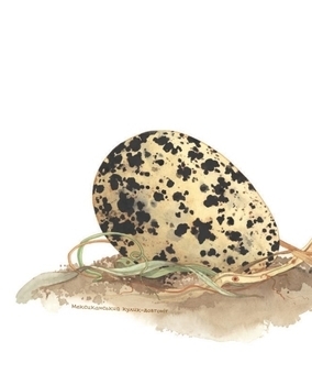 Арт-енциклопедія для дітей. Яйце безмовне - Астон Гуттс Діанна - Pampik - 4