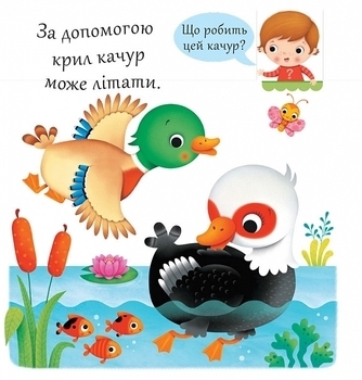 Качки - Беліно Н. - Pampik - 3