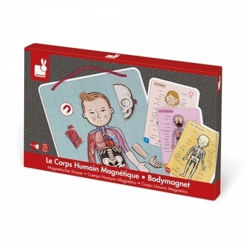 Ігровий магнітний набір Janod Тіло людини (J05491) - Pampik - 4