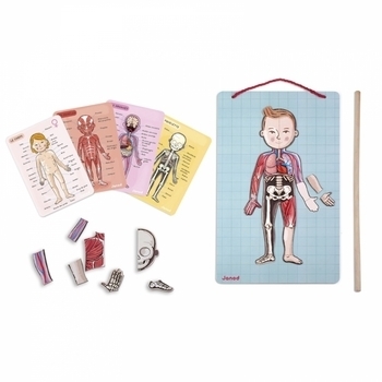 Ігровий магнітний набір Janod Тіло людини (J05491) - Pampik