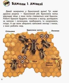 Енциклопедія дошкільника. Комахи - Каспарова Ю.В. - Pampik - 6