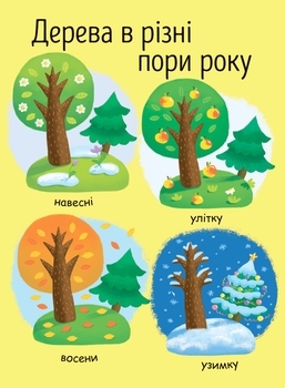Моя перша енциклопедія. Як виростає дерево? - Конопленко І.І. - Pampik - 7