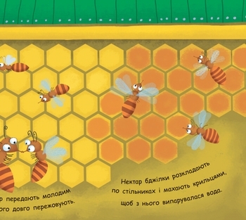 Моя перша енциклопедія. Як утворюється мед? - Конопленко І.І. - Pampik - 3