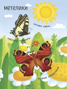 Моя перша енциклопедія. Як народжується метелик? - Ганна Булгакова (Л807010У) - Pampik - 9