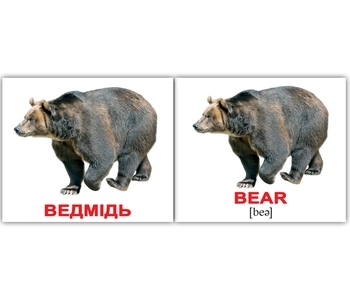 Подарунковий набір Вундеркінд з пелюшок Англо-українська валізочка (10 мінінаборів) - Pampik - 4