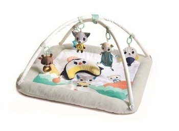 Развивающий коврик с дугами Tiny Love Северный полюс (1205406830) - Pampik