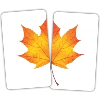 Набір карток Домана Вундеркінд з пелюшок Половинки, 15 пар карток, укр. мова - Pampik - 2