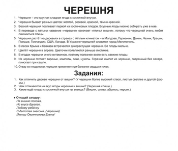 Мегаваліза Вундеркінд з пелюшок, 23 набори (російська) і книга в подарунок - Pampik - 6