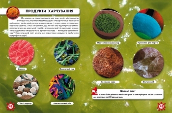 Фотоенциклопедія. Світ навколо нас. Мікросвіт (F00020425) - Pampik - 3