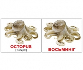 Мини-карточки Домана Вундеркинд с пеленок Водяні тварини/Water animals, украинско-английский (2100065155313) - Pampik