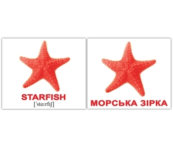 Мини-карточки Домана Вундеркинд с пеленок Водяні тварини/Water animals, украинско-английский (2100065155313) - Pampik - 3