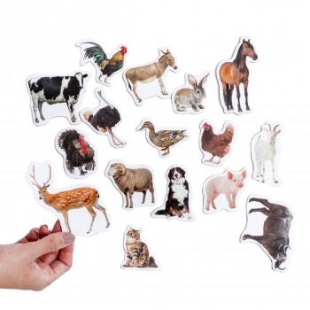 Набор магнитов Magdum Ферма Фото (ML4031-04) - Pampik - 2