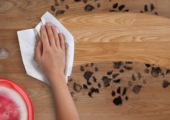 Двошарові кухонні рушники Zewa Плюс, білий, 2 рулони - Pampik - 3