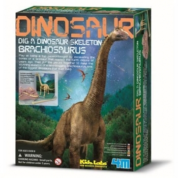 Игровой набор 4M Скелет брахиозавра (00-03237) - Pampik