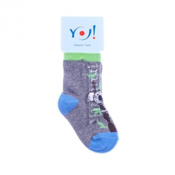 

Носки YO! Коала, р., серый (SKC/STA/C/S