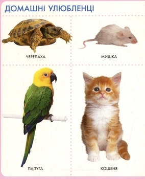 Животные. Моя первая книга - Pampik - 2