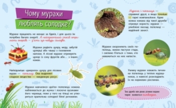 Почимучики. Насекомые - Булгакова К. - Pampik - 2