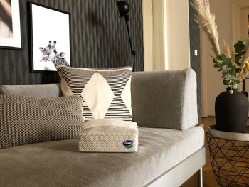 Подарок. Бумажные полотенца Zewa Wisch Weg, 75 листов - Pampik - 10