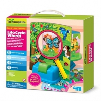 Ігровий набір 4M Життєвий цикл (00-04693) - Pampik