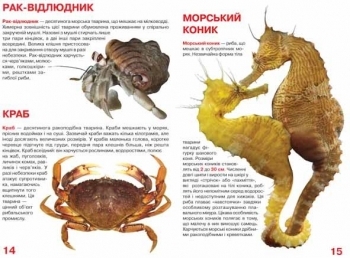 Велика книжка Мешканці морів та океанів - Pampik - 2