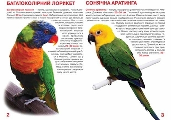 Велика книжка. Папуги (F00010905) - Pampik - 2