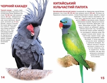 Велика книжка. Папуги (F00010905) - Pampik - 3