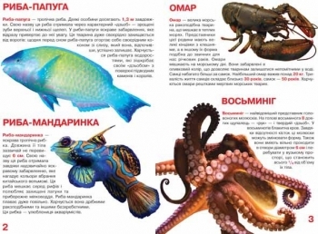 Велика книжка Мешканці морів та океанів - Pampik - 3