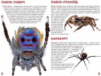 Велика книжка. Павуки (F00014639) - Pampik - 2