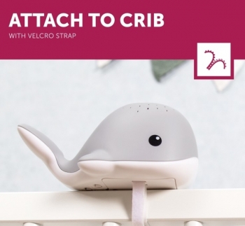 Музыкальный ночник-проектор Zazu Wally Кит, серый (ZA-WALLY-01) - Pampik - 3