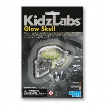 Брелок 4M Светящийся череп (00-03313) - Pampik