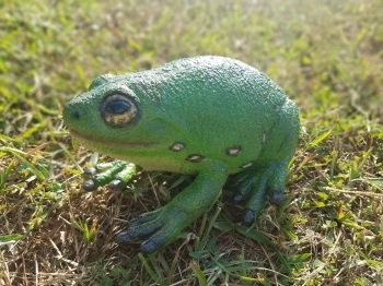 Фігурка Lanka Novelties Жаба зелена деревна, 22 см (21554) - Pampik - 3