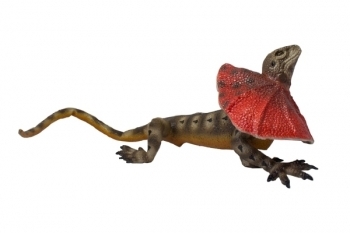 Фигурка Lanka Novelties Ящерица плащеносная, 55 см (21550) - Pampik