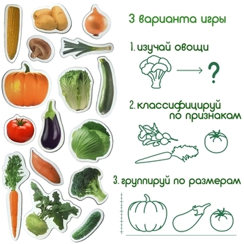 Магнітний набір Magdum Magnetic set Vegetables (ML4031-12 EN) - Pampik - 4