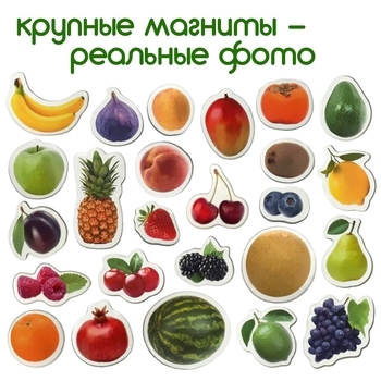 Магнитный набор Magdum Magnetic set Fruits and berries (ML4031-11 EN) - Pampik - 5